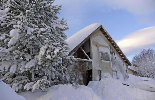 Les Enfetchores - apartment overlooking la Meije - Photo 39