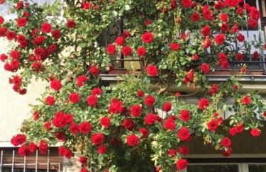 Ferienwohnung (70 qm) mit fantastischem Ausblick - Foto 6