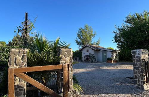 Finca Fuente Magan - Foto 22