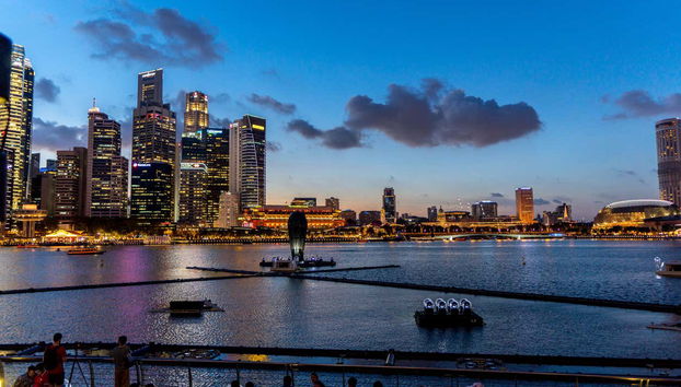 Singapore Private Tour - Photo 2