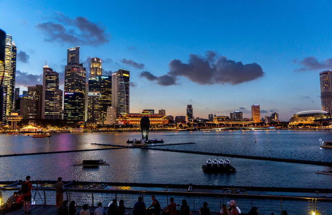 Singapore Private Tour - Photo 2