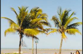 Casa quadra praia Jacaraipe! - Photo 15