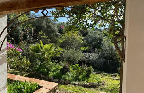 la fontana - Foto 19