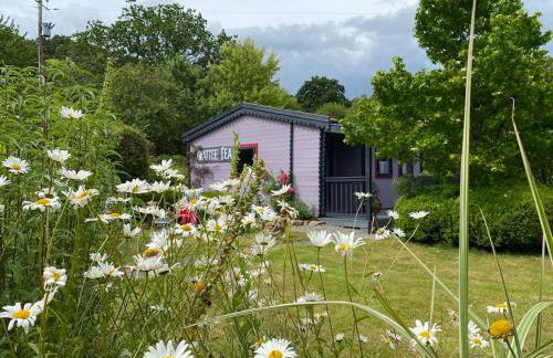 The Fabulous flower hut - Photo 14