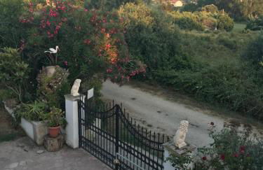 Floros Apartments - Foto 9