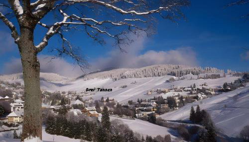 Drei Tannen - Foto 3