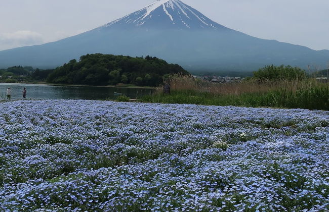 Kuranoyado Matsuya - Foto 66