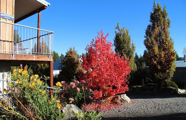 Apartment at Mapleview - Foto 18