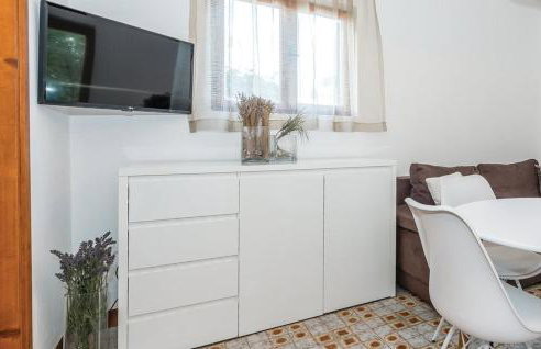 Oleander adria - Foto 9