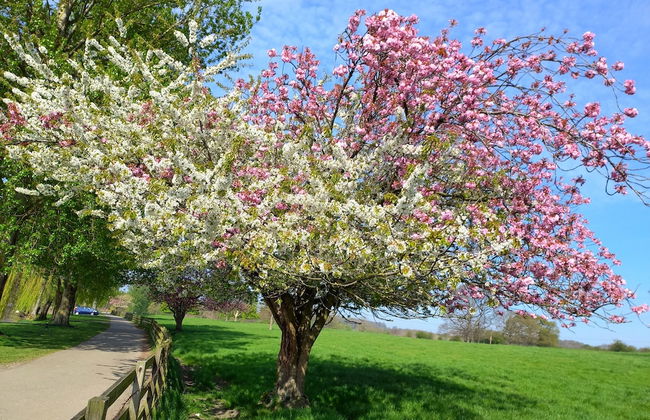 Charming Wentworth Lodge With Countryside Views - Photo 27