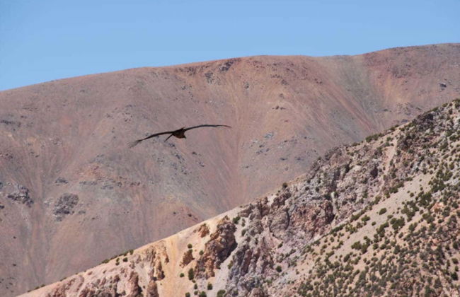 Los Morillos Reserve Private Trip - Photo 4