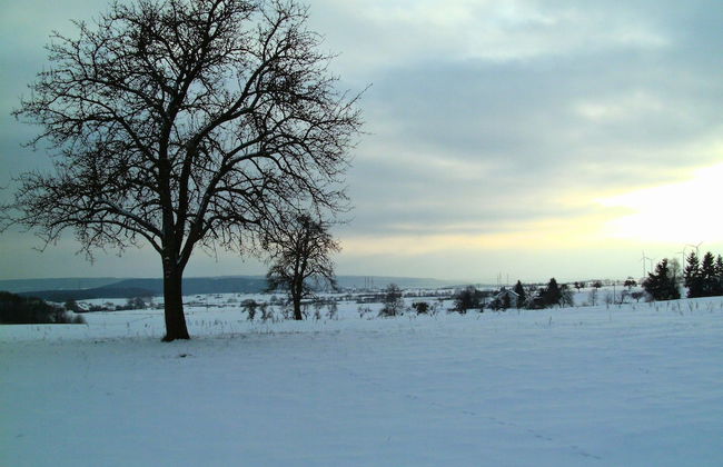 Olsdorf Forestview Apartment - Photo 31