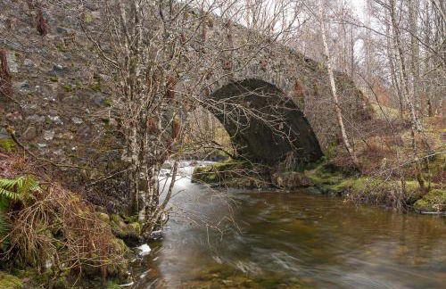 Caledonian Cabin - Photo 63