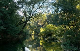 Idyllic Riverside Provencal Farmhouse - Foto 15