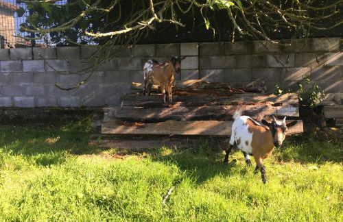 Ak-55 Rural House - Foto 20