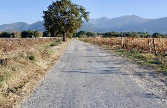 Les orangers - Villa catalane avec Jacuzzi - Photo 26