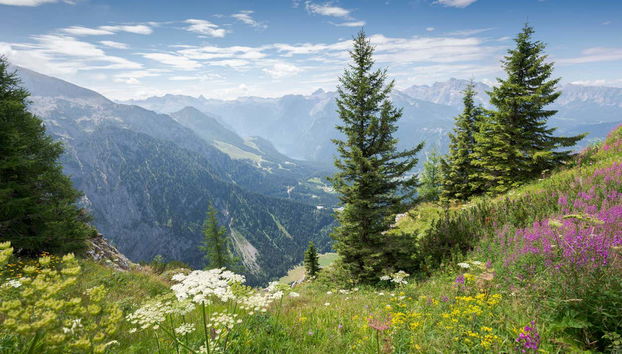 Eagle’s Nest Day Trip - Photo 3