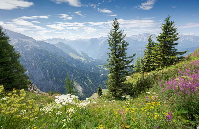 Escursione al Nido dell'Aquila - Foto 3