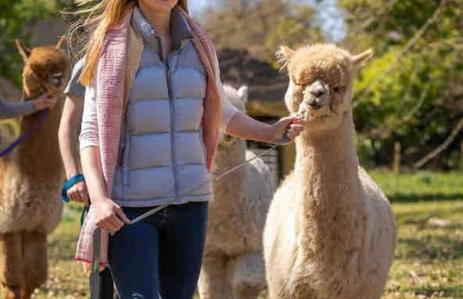 Beautiful 2-bed Apartment in Inverkip Great Garden - Foto 29