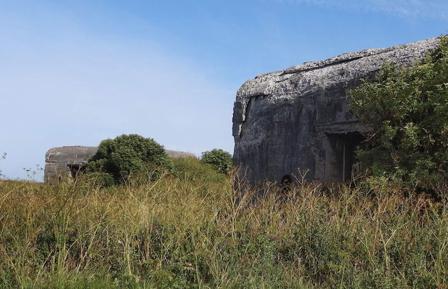 4 Person Holiday Home in Lemvig-by Traum - Foto 11