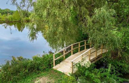 Enchanted Forest Cabin - Foto 30