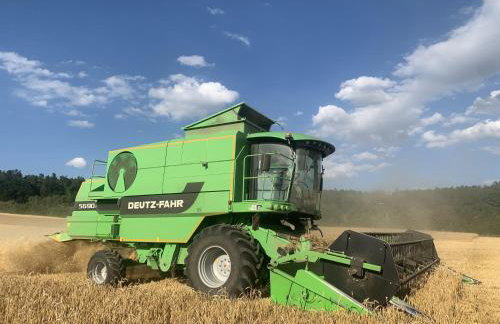 Rennerhof-Siebeneichen Fewo Frechdachs - Foto 16