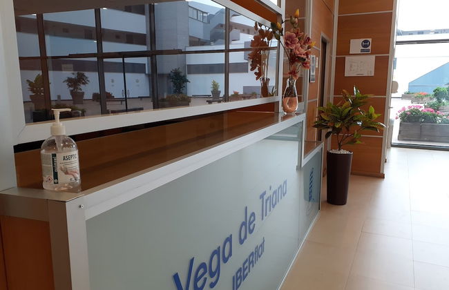 Iberflat Vega De Triana - Foto 5