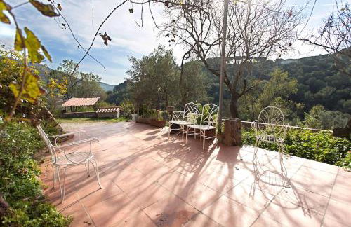 MASIA CAN SUNYER AGROTURISMO - Foto 16