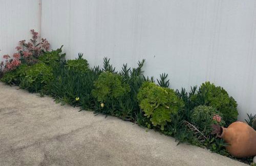 d Albuquerque - AL - Foto 19