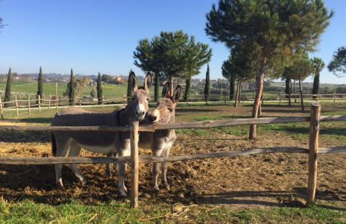 Agriturismo Casale San Benedetto - Foto 35