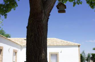 Lujosa casa en la cuna del Quijote - Photo 22