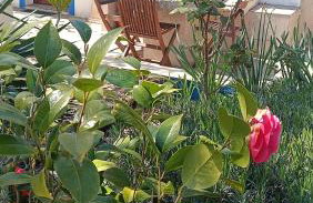 Ola Linda - Casa de Campo - - Foto 36