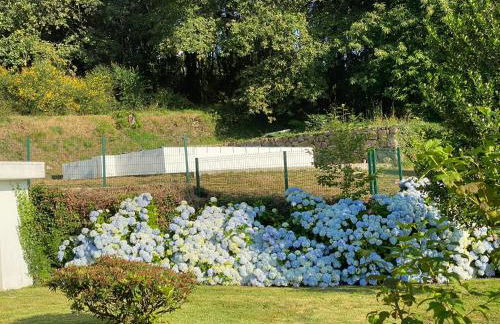 Quinta da Caselinha - Foto 24