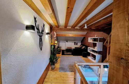 Gîte Spa "La Foret Argentée" proche Gérardmer - Foto 36