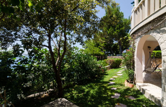 Plavac Mali - Photo 26