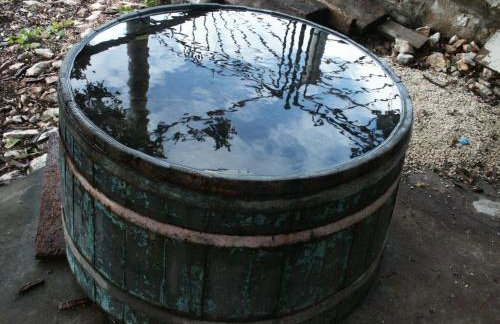 Apartments by the sea Babine Kuce, Mljet - 611 - Photo 9