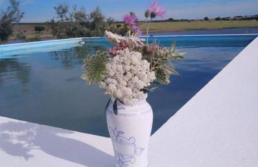 Monte da Figueira - Foto 41