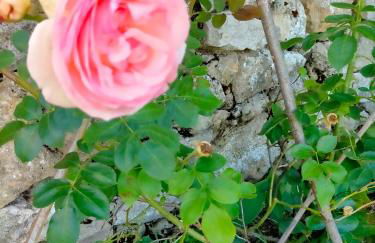 Château Fongiras 11 personnes Médoc - Foto 59