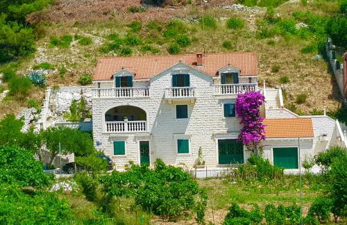 Apartments Renata - Foto 1