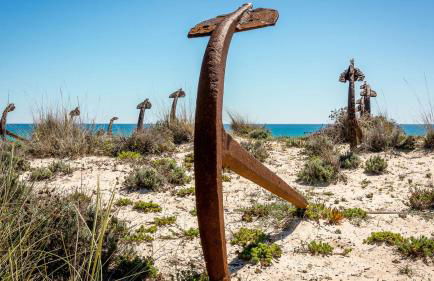 Beach House Pedras D'el Rei - Foto 64