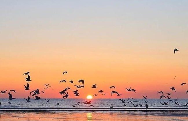 Beautiful House in Village, Newburgh, Ellon - Photo 20