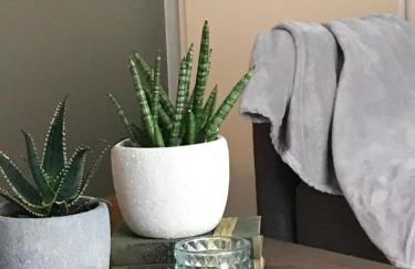 Ferienwohnung Frevel - Foto 8