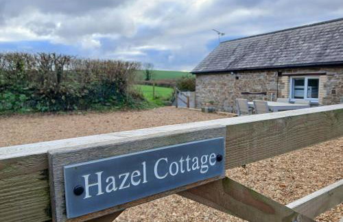 Hazel Cottage, Frithelstock - Foto 17