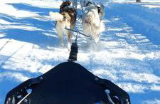 Résidence Campredon - Décoration typique - 25m2 de Terrasse aménagée plein sud avec vue panoramique - Internet - Jardin - Parking - Navette - Linge et Ménage en options payantes - Foto 52