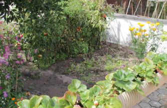 O Cantinho da Rosa - Foto 80