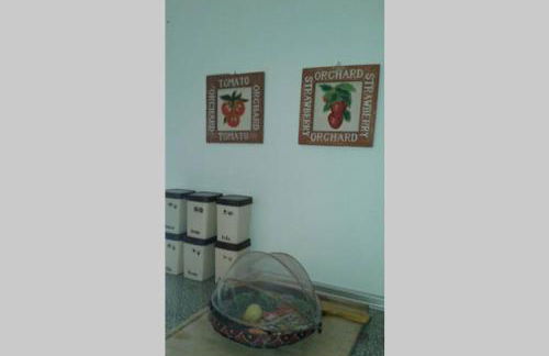 Palheirinho - Foto 42