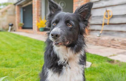 1 Bed in Taunton oc-bartc - Foto 6