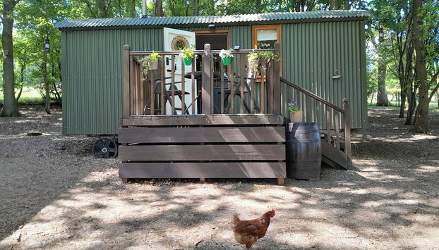 Little Greenwood Shepherd Hut - Sleeps 2 - Foto 2, Imagen principal