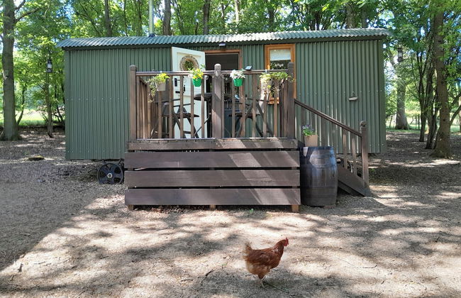 Little Greenwood Shepherd Hut - Sleeps 2 - Foto 1