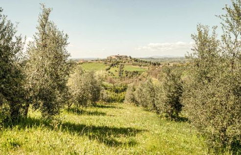 Blue Cherry - Foto 35